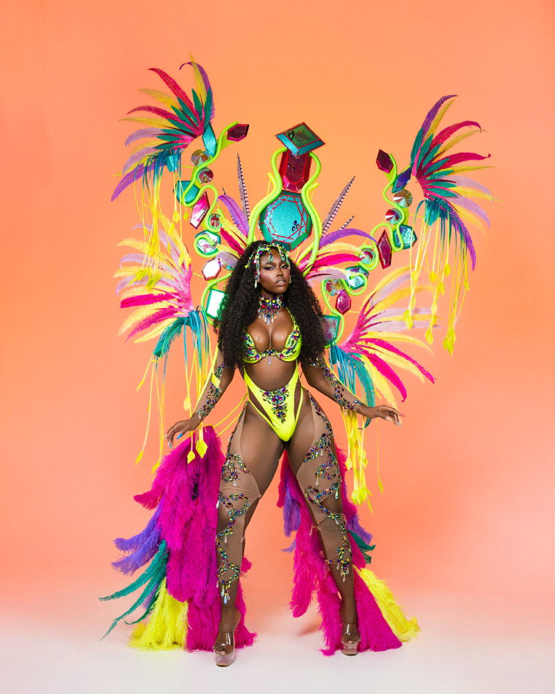 Twist Backline with Ultra Backpack