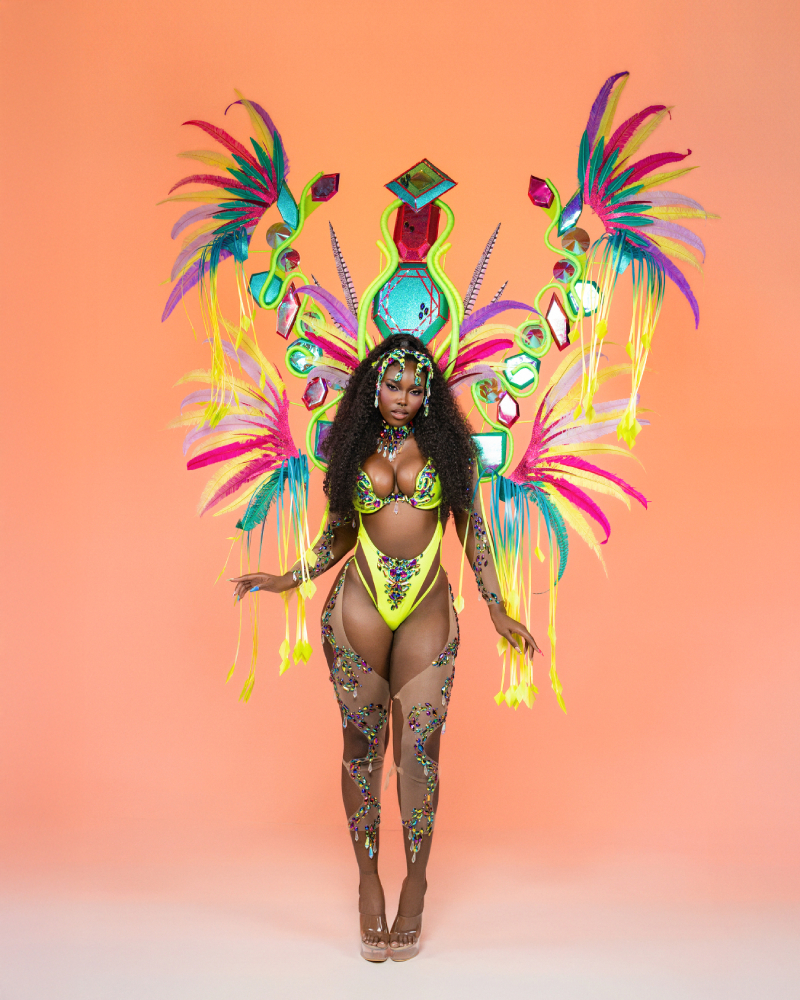 Twist Backline with Grand Backpack